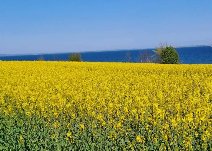 8 Person In Sydals * Sarup