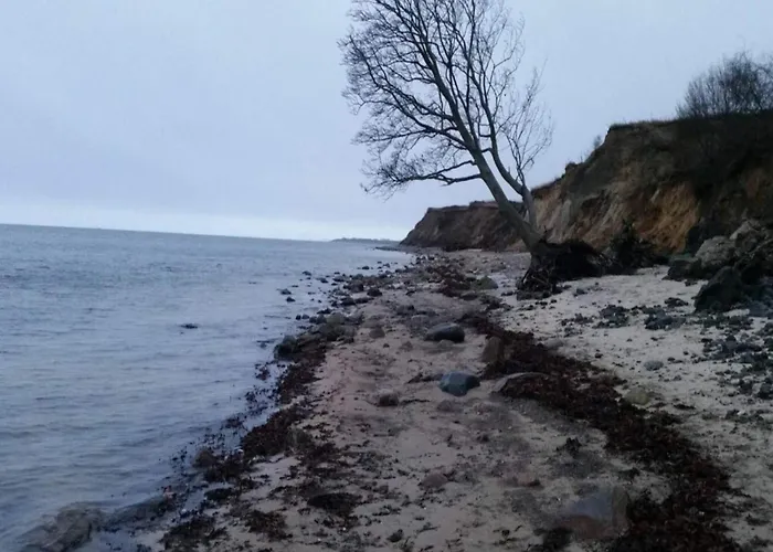 8 Person In Sydals *